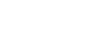 McCormick Arts Council (MACK) logo - white